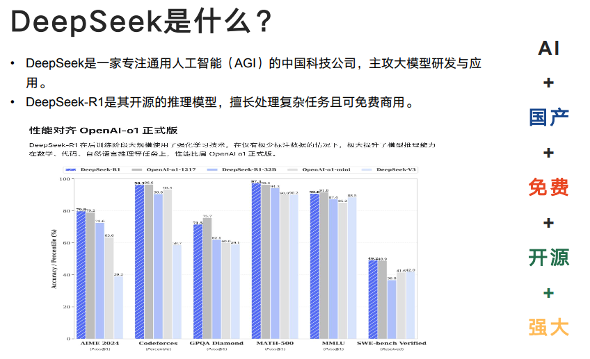 DeepSeek从入门到精通（清华博士团队2025年2月最新版）.pdf(图1)