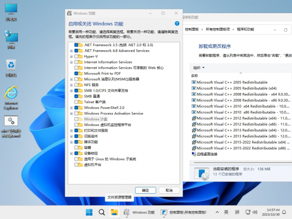 小修 Windows 11 Pro (22631.5262) 轻度精简 二合一 (2025.4.30)下载(图1)