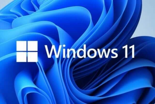 Windows 11 24H2 Build 26100.3915 RTM下载(图1)