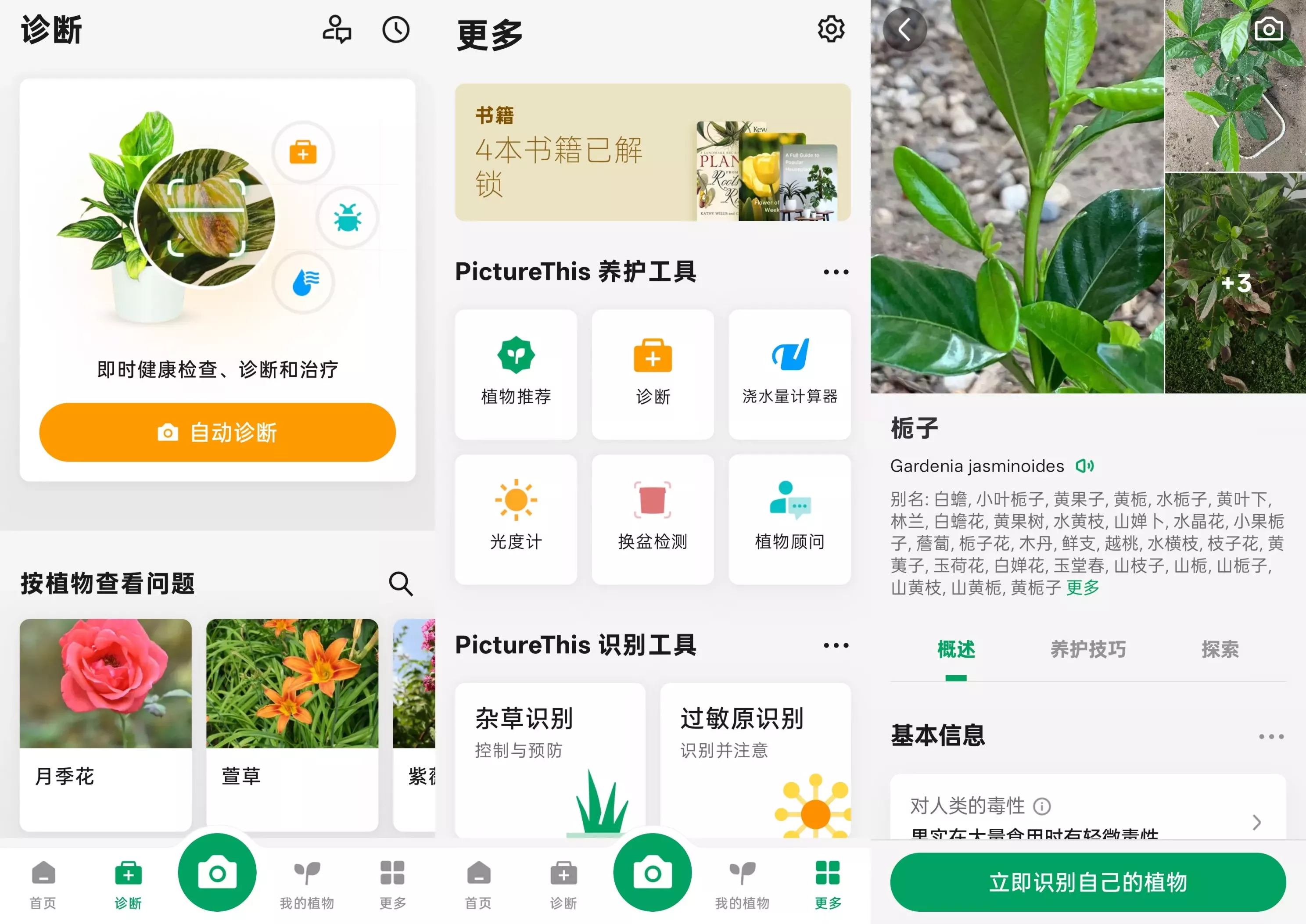 PictureThis 安卓解锁高级会员版_v5.3.0 拍植物知名称和植物百科(图1)