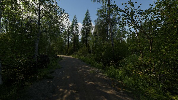芬兰小屋模拟器 Build.18334262（Finnish Cottage Simulator）免安装中文版下载(图4)