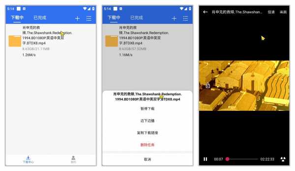飞流下载器 v1.1.0 Android 免费版 不限速 无视冷门敏感资源 边下边播 (图1)