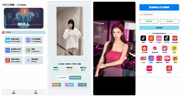 GULL工具箱 2.0 Android 免费版 多功能工具箱，支持云盘解析及短视频去水印(图1)